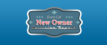 About The Owner: Kris Strouse
