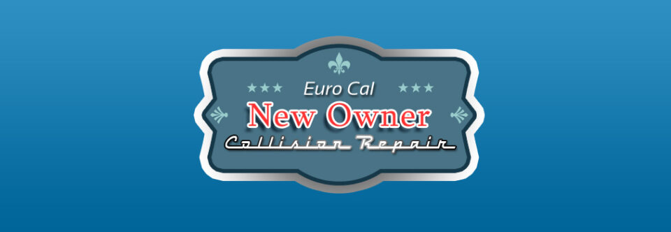About The Owner: Kris Strouse